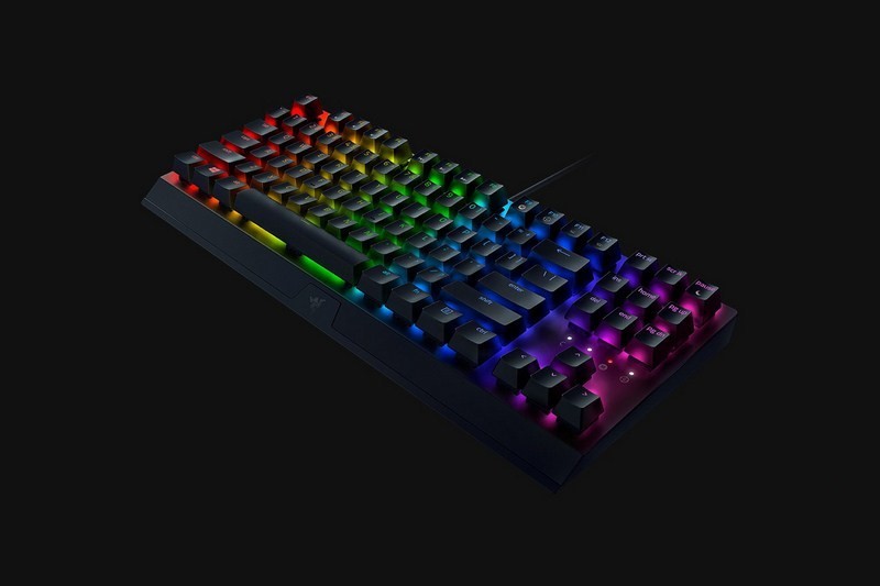 razer v3 